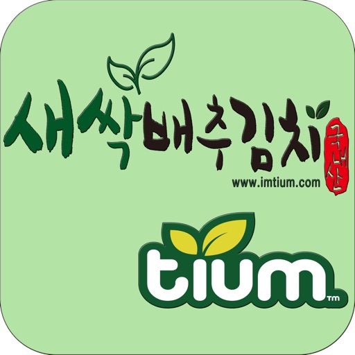 새싹배추김치 티움 - imtium