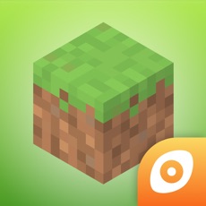 Activities of Block Builder for Minecraft