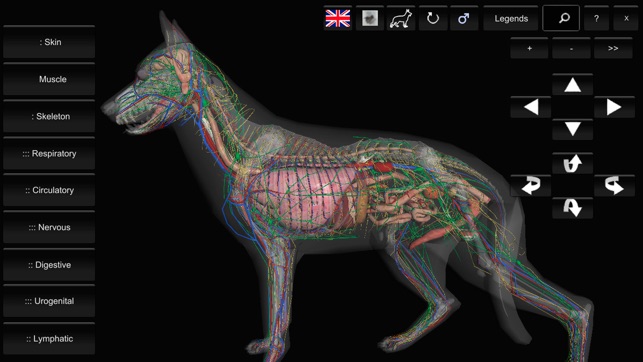 3d canine anatomy on the app store screenshots