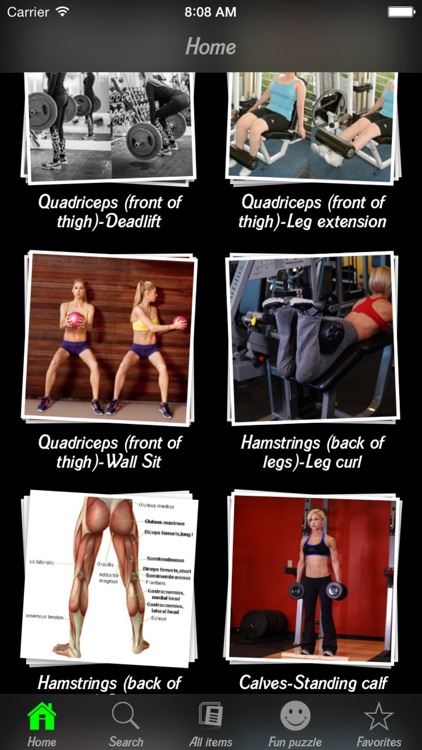 Body Building Exercises Info +
