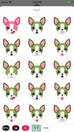 Animated St Pat Boston Terrier(圖1)-速報App