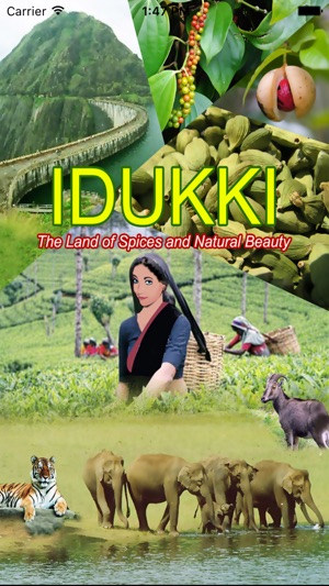 Idukki(圖1)-速報App