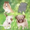 A wonderful, cute collection of puzzles and dogs for toddlers and kids