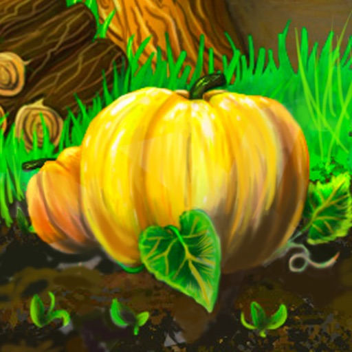 Hidden Objects Game: Find Secrets in the Forest Icon