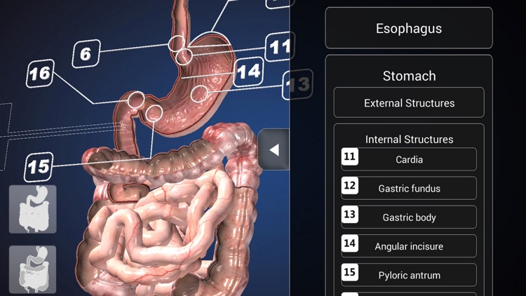 Endoscopy 3D