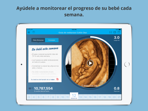 Guía de embarazo Little One screenshot 4
