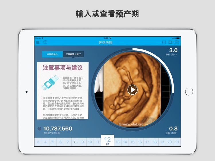 怀孕历程 screenshot-3
