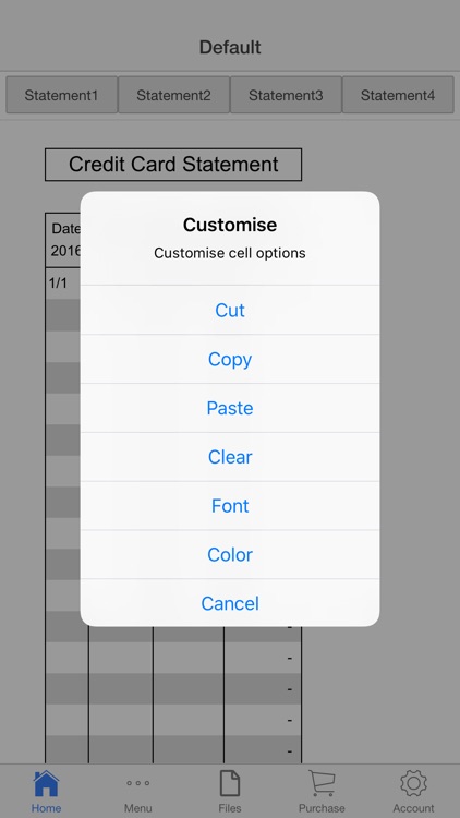 Credit Card Ledger screenshot-3