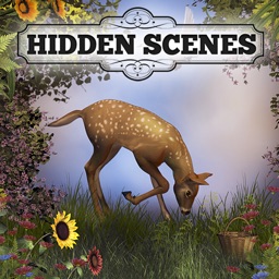 Hidden Scenes - Mother Nature