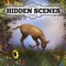 Hidden Scenes is a game similar to a jigsaw puzzle where you swap and flip the pieces to reveal the hidden scene