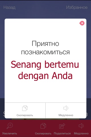 Indonesian Video Dictionary - Translate, Learn and Speak with Video Phrasebook screenshot 3