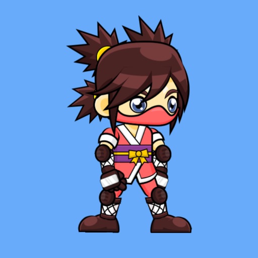 Pocket Ninja - Stickers