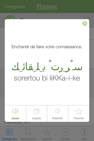 Arabic Pretati - Speak with Audio Translation screenshot 3