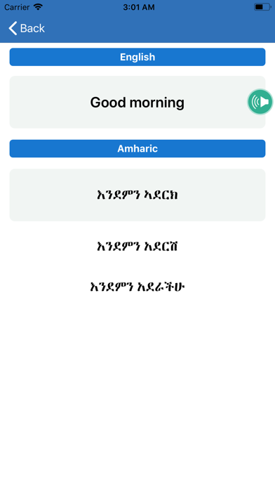 Amharic: Learn 12 Languages screenshot 3