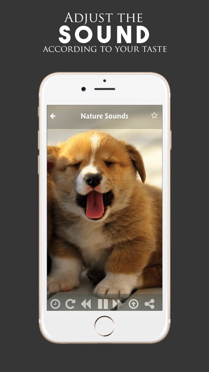 Puppy Sounds:Calming Music For Relaxation & Sleep