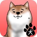 校庭に犬w