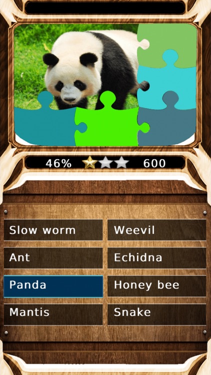 Animal Sounds Quiz 2.0