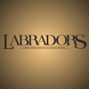 Labrador Magazine Labrador Magazine