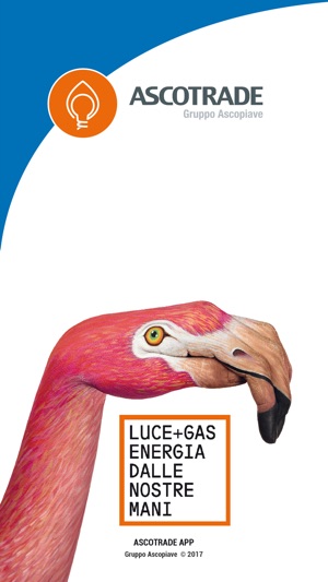 Ascotrade App gas e luce(圖5)-速報App