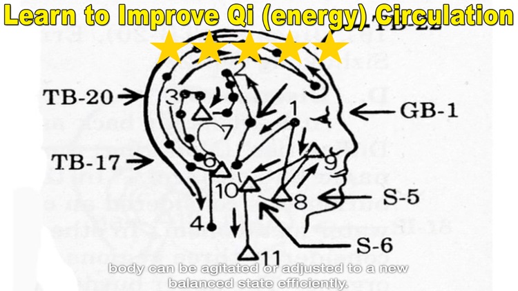 Qigong Massage: Partner Massage screenshot-4