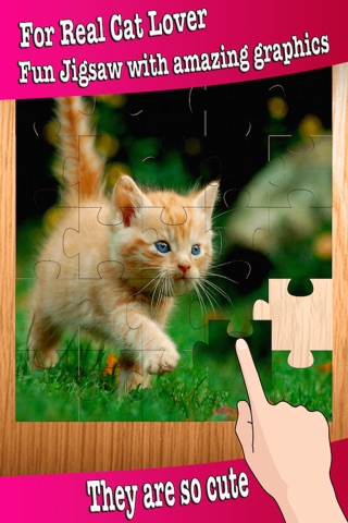 Kitten Baby Animal Game - Cute Cat Puzzles Jigsaw screenshot 2
