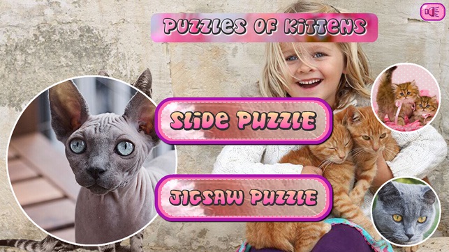 Puzzles of Kittens