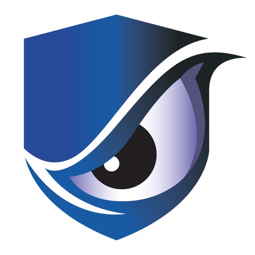 Spa Security Systems Icon