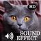 Amazing Epic Sounds Game HD