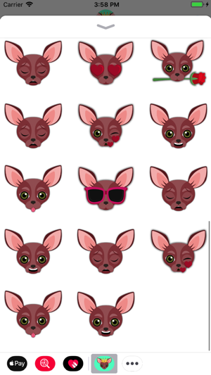 Animated Red Chihuahua(圖2)-速報App