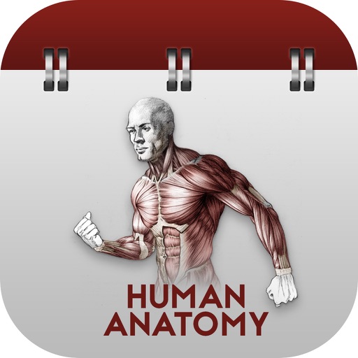 Full Docs for Human Anatomy icon