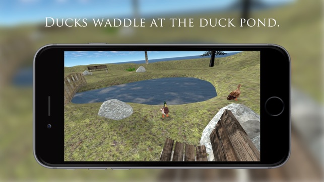 Duck Pond VR(圖5)-速報App