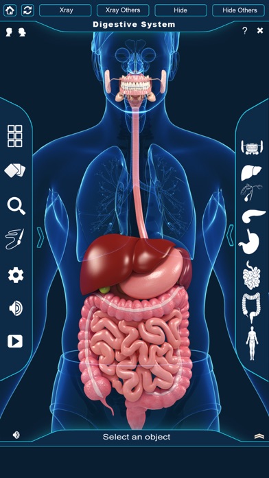 My Digestive System Anatomy screenshot 2