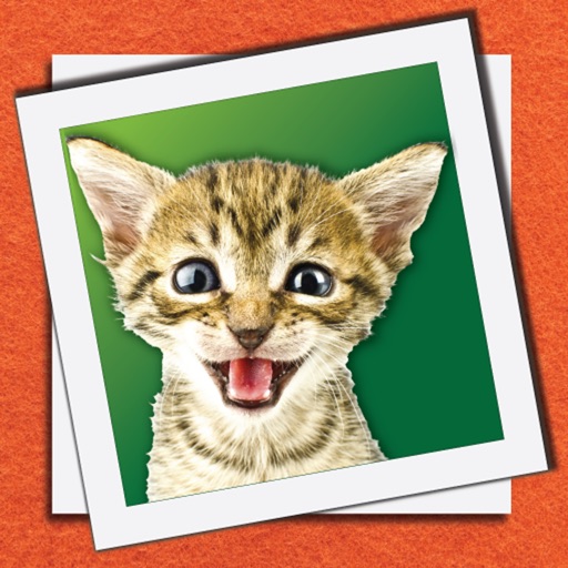 Cat Lover's Camera iOS App