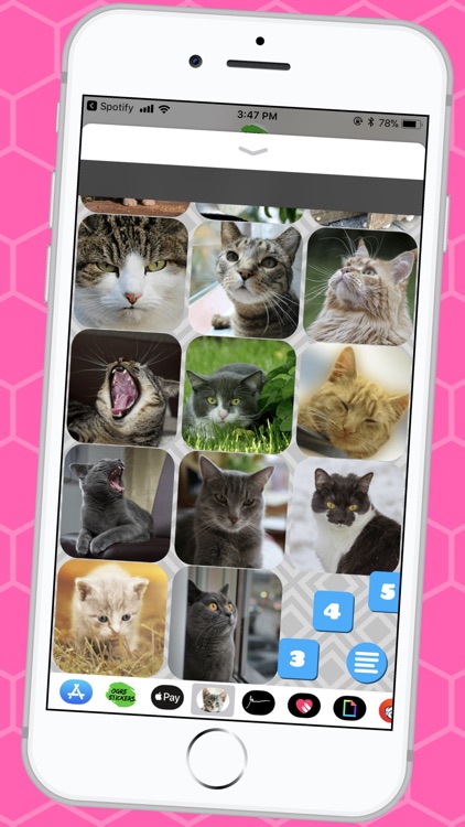 Lovable Cat Stickers