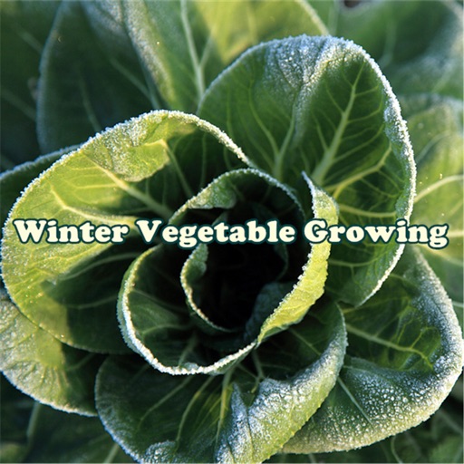 Winter Vegetable Growing:Harvest Handbook icon
