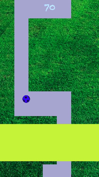 Line Roll - Premium screenshot-3