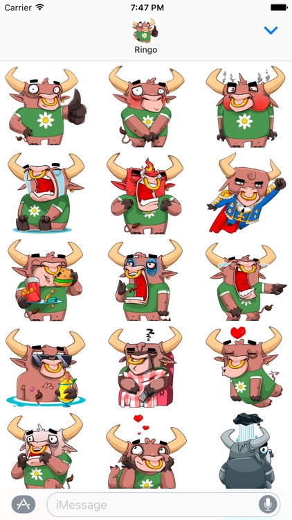 Ringo the Bull