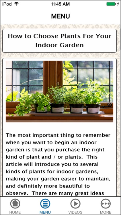 Learn Indoor Gardening for Every Month of The Year