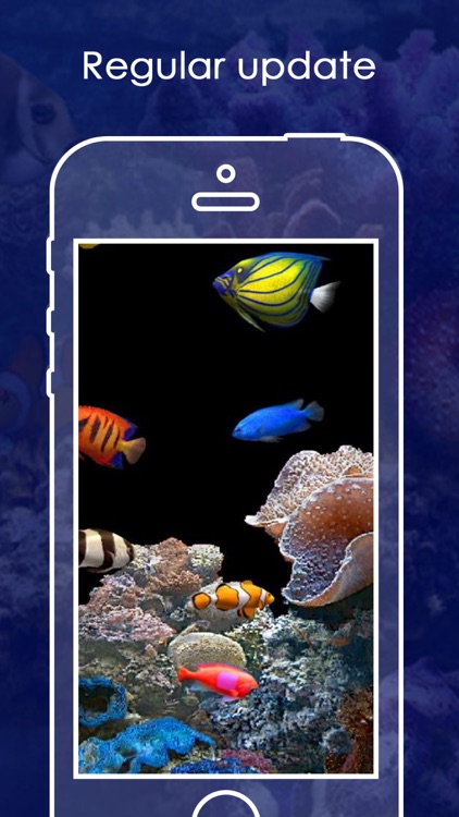 Live Aquarium HD Wallpapers | Backgrounds screenshot-3