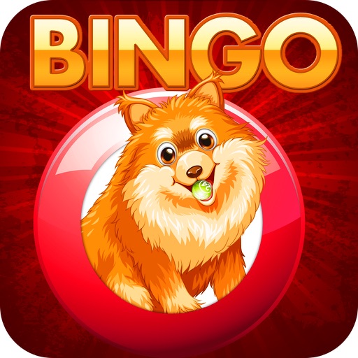 Bingo Of Doge - Free Doge Bingo For Fun icon