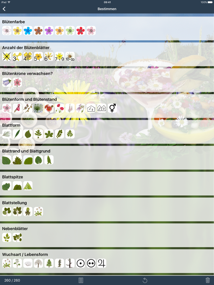 Wildpflanzen zum Genießen