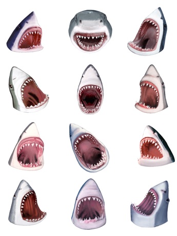 【图】Shark Head(截图3)