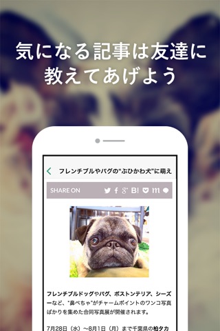 わんこGoGo - 犬好きによる犬好きのための写真・飼い方情報満載ニュースアプリ screenshot 3