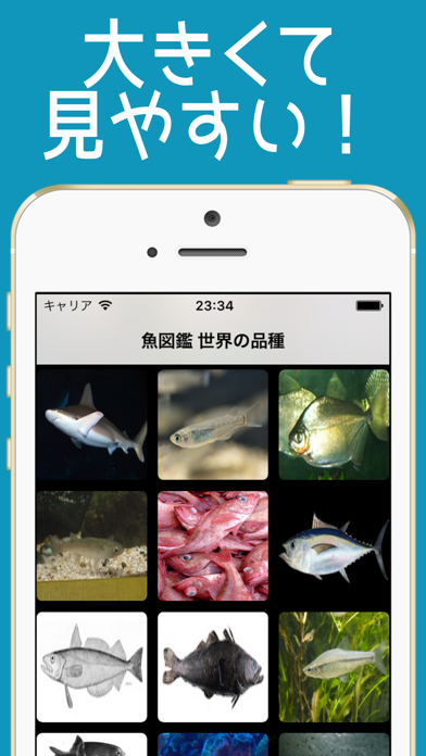 さかな図鑑 世界の品種 =魚 554種類= screenshot1