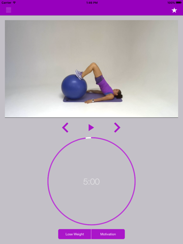 Swiss Ball Exercises Stability Fit Workout Program screenshot 3