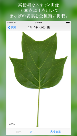 葉っぱ図鑑 Leaf Dictionary をapp Storeで