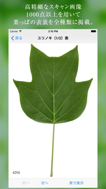 葉っぱ図鑑 - Leaf Dictionary -