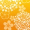 Dress up your iPhone & iPad home screen with pattern style wallpapers