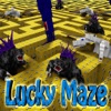 Lucky Mine Runner : Survival Hunter Game