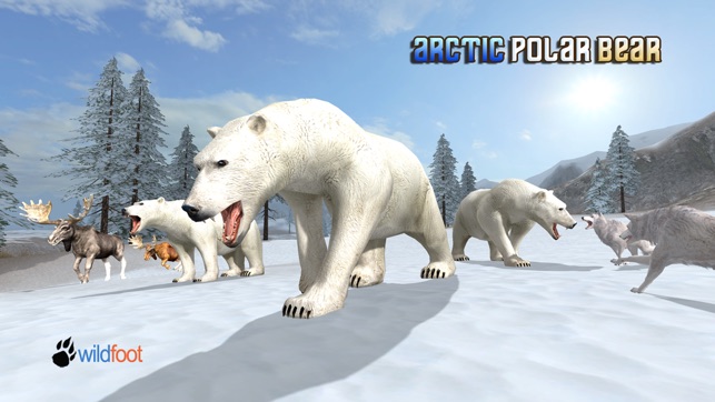 Arctic Polar Bear(圖1)-速報App